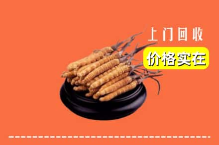 南阳卧龙区回收冬虫夏草