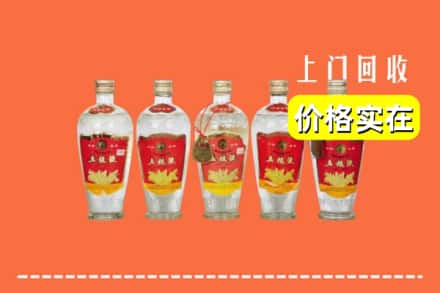 南阳卧龙区回收老五粮液